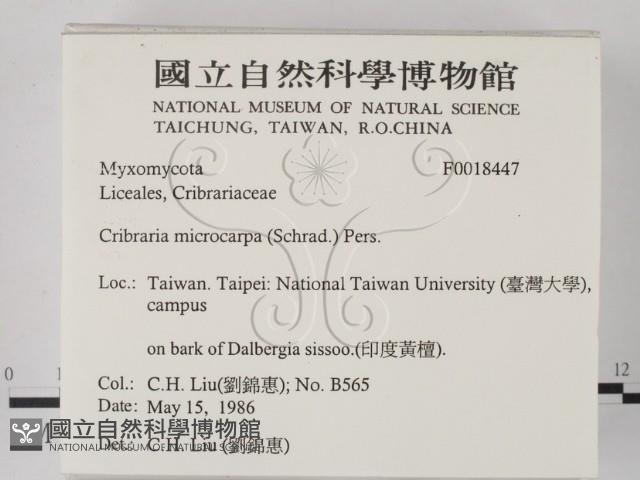 登錄號:F0018447藏品圖，第2張