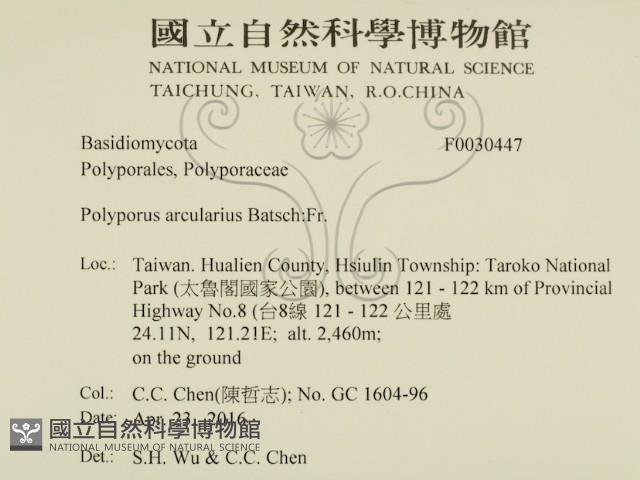 登錄號:F0030447藏品圖，第2張