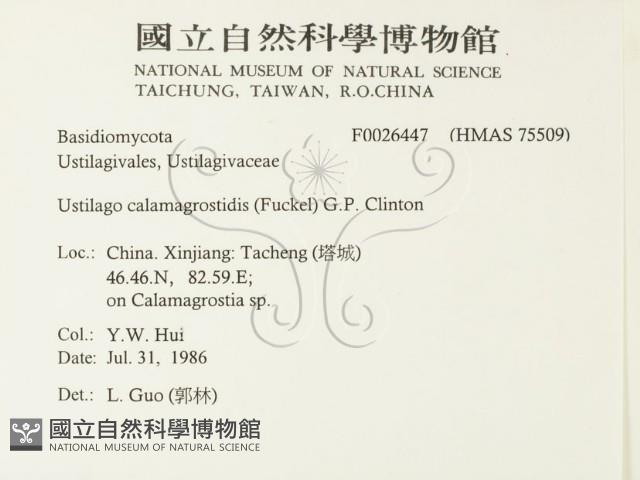 登錄號:F0026447藏品圖，第2張