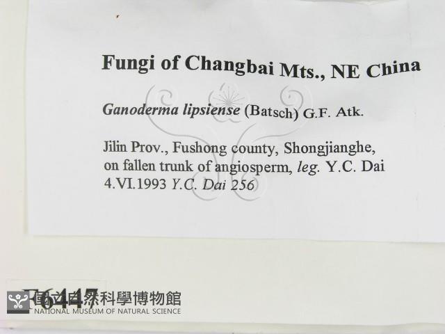 登錄號:F0006447藏品圖，第2張