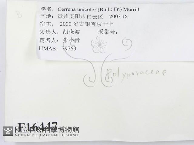 登錄號:F0016447藏品圖，第2張