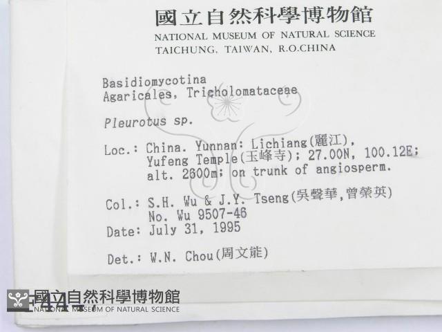 登錄號:F0004447藏品圖，第2張