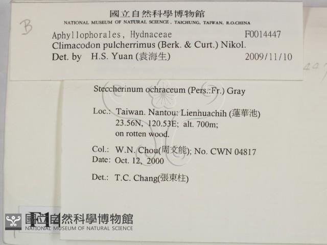 登錄號:F0014447藏品圖，第2張