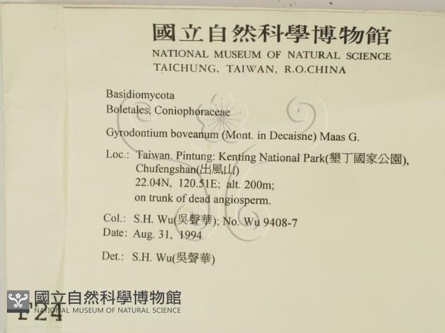 登錄號:F0002447藏品圖，第2張