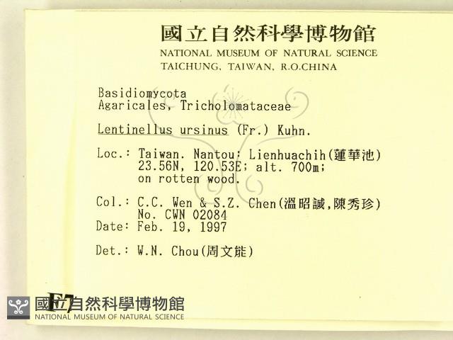 登錄號:F0007447藏品圖，第2張