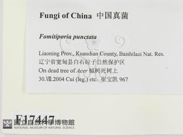 登錄號:F0017447藏品圖，第2張