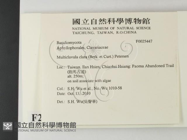 登錄號:F0025447藏品圖，第2張