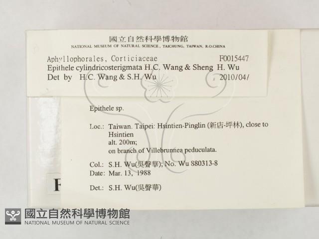 登錄號:F0015447藏品圖，第2張