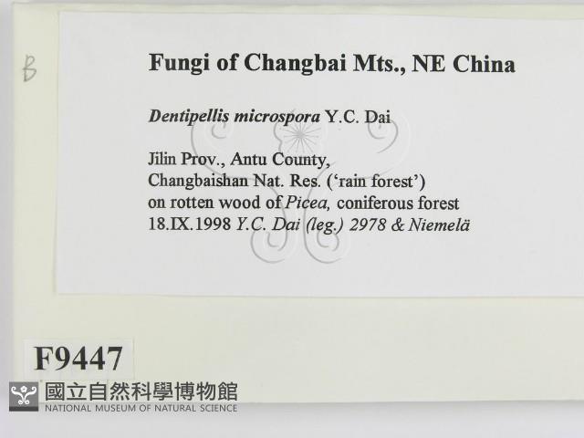 登錄號:F0009447藏品圖，第2張