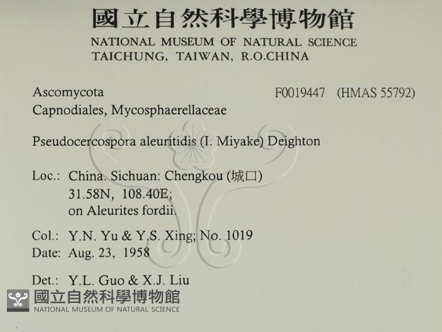 登錄號:F0019447藏品圖，第2張