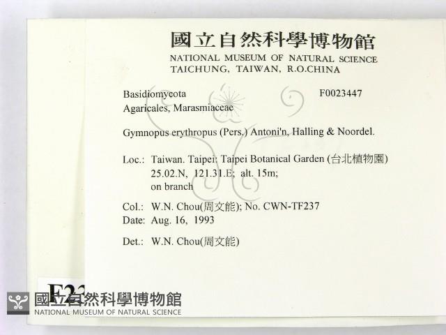 登錄號:F0023447藏品圖，第2張