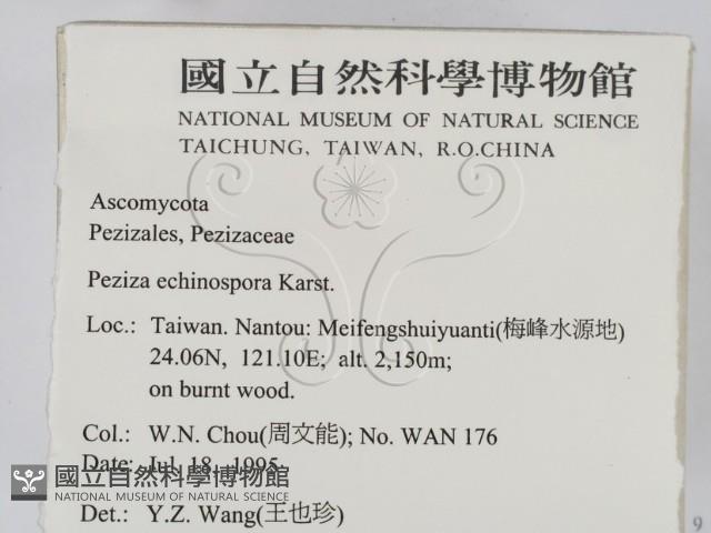 登錄號:F0003447藏品圖，第2張