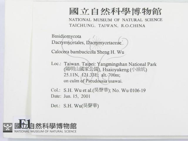 登錄號:F0013447藏品圖，第2張