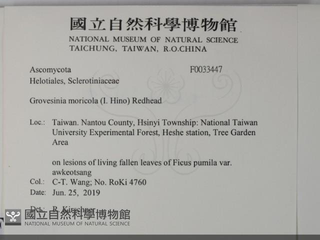 登錄號:F0033447藏品圖，第2張