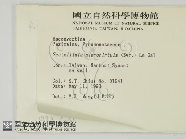 登錄號:F0000747藏品圖，第2張