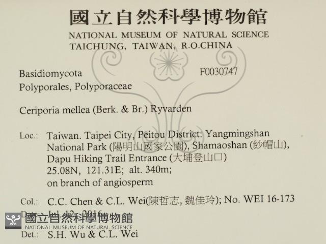 登錄號:F0030747藏品圖，第2張