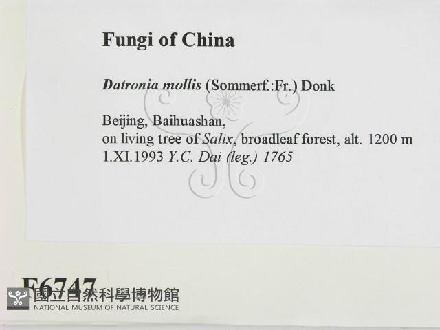 登錄號:F0006747藏品圖，第2張