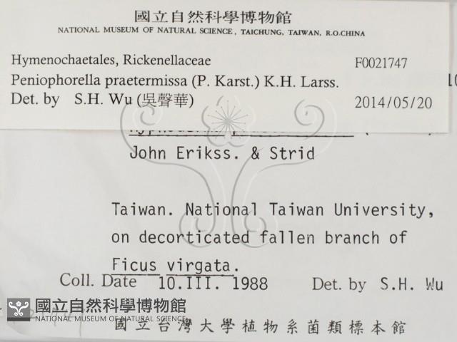 登錄號:F0021747藏品圖，第2張
