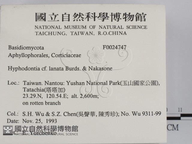 登錄號:F0024747藏品圖，第2張