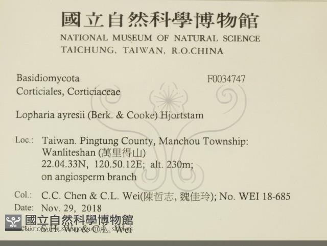 登錄號:F0034747藏品圖，第2張