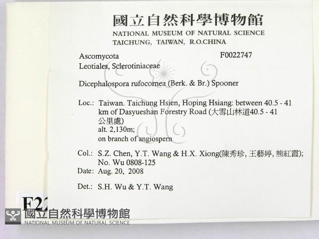 登錄號:F0022747藏品圖，第2張