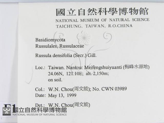 登錄號:F0012747藏品圖，第2張