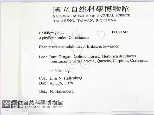 登錄號:F0017747藏品圖，第2張