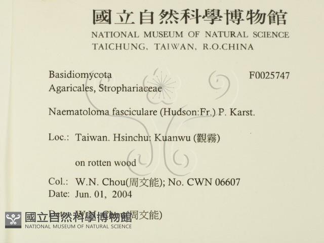 登錄號:F0025747藏品圖，第2張