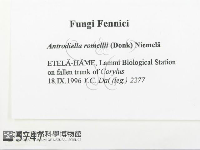 登錄號:F0005747藏品圖，第2張