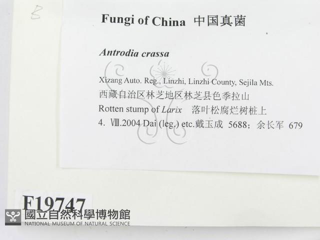 登錄號:F0019747藏品圖，第2張