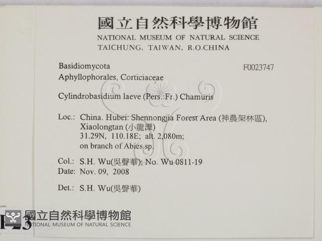 登錄號:F0023747藏品圖，第2張