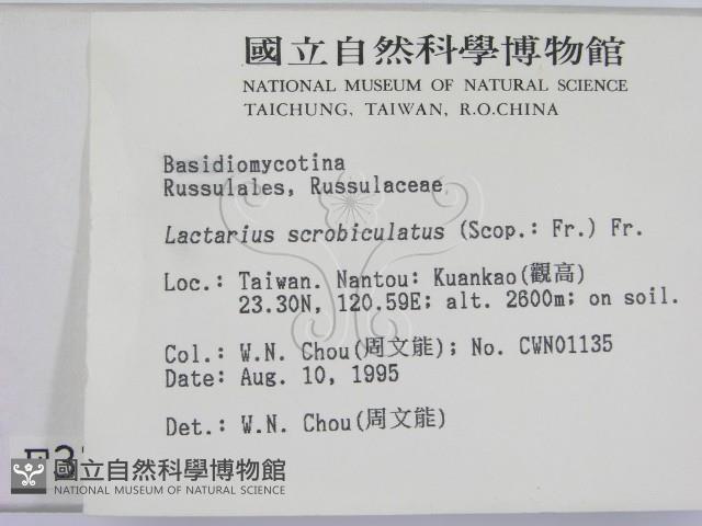 登錄號:F0003747藏品圖，第2張