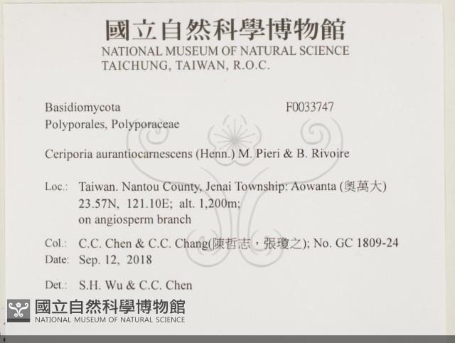 登錄號:F0033747藏品圖，第2張