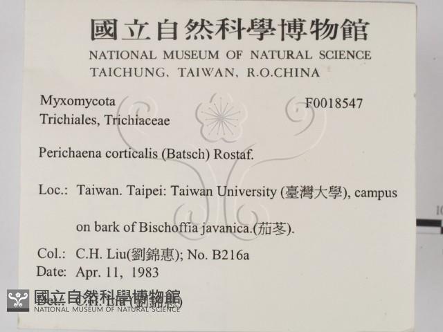 登錄號:F0018547藏品圖，第2張