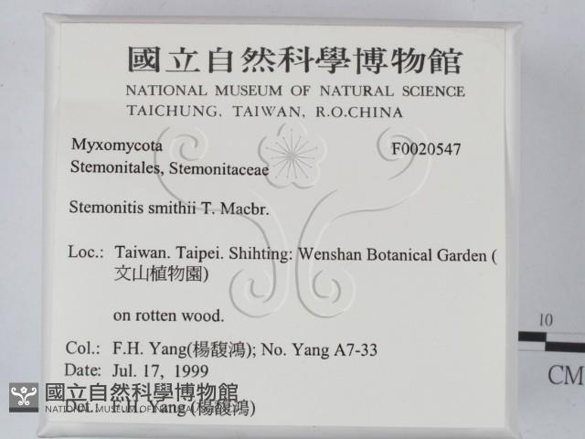 登錄號:F0020547藏品圖，第2張