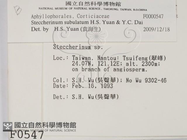 登錄號:F0000547藏品圖，第2張