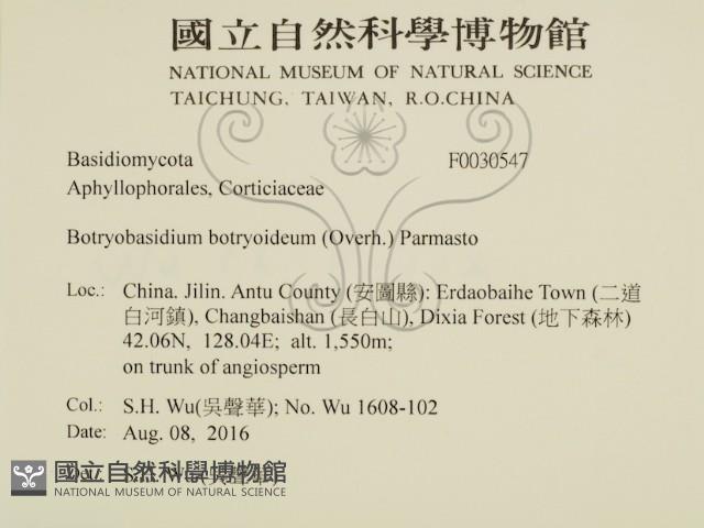 登錄號:F0030547藏品圖，第2張