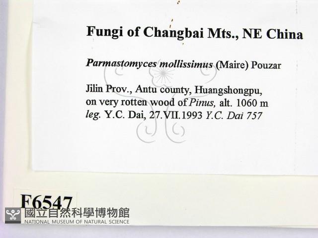 登錄號:F0006547藏品圖，第2張