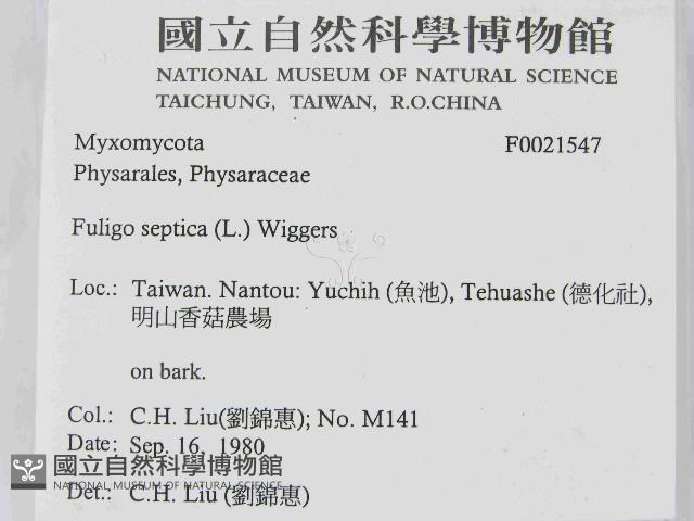 登錄號:F0021547藏品圖，第2張