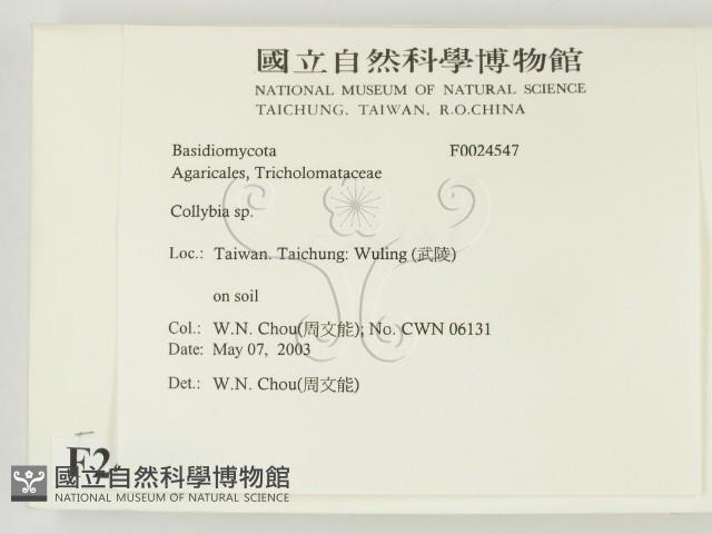 登錄號:F0024547藏品圖，第2張