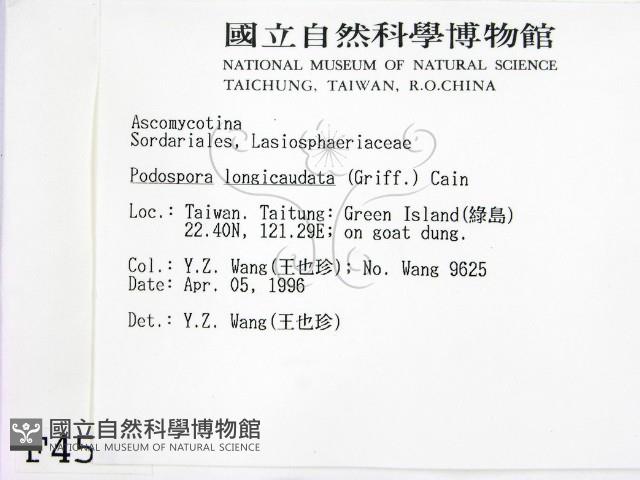 登錄號:F0004547藏品圖，第2張