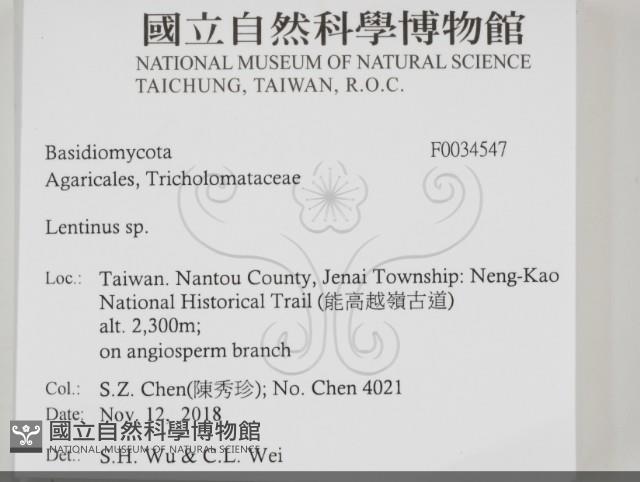 登錄號:F0034547藏品圖，第2張