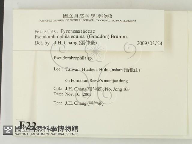 登錄號:F0022547藏品圖，第2張