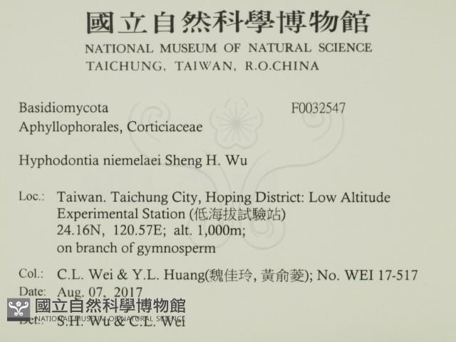 登錄號:F0032547藏品圖，第2張