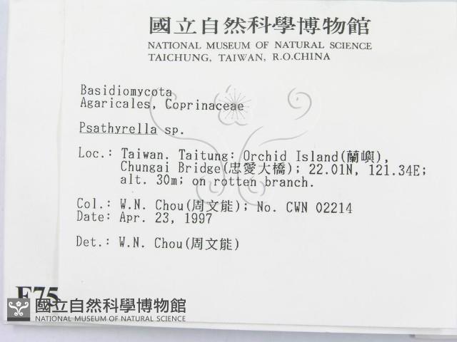 登錄號:F0007547藏品圖，第2張