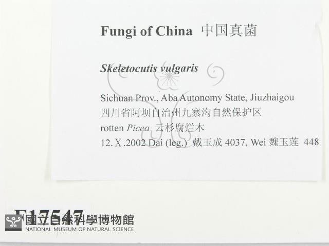 登錄號:F0017547藏品圖，第2張