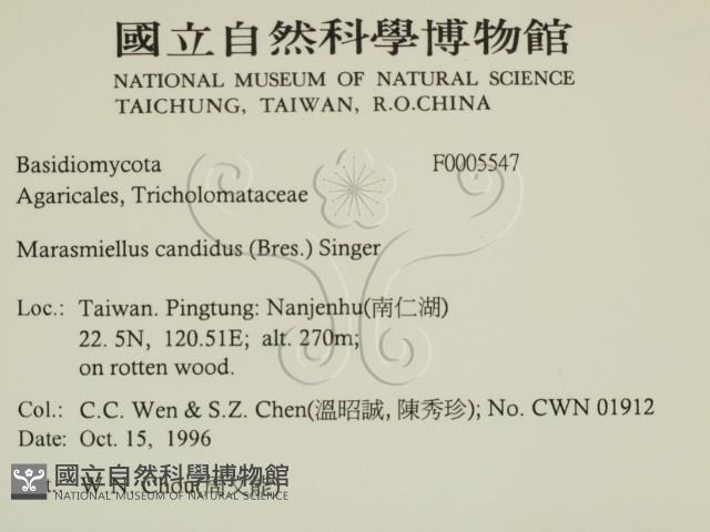 登錄號:F0005547藏品圖，第2張