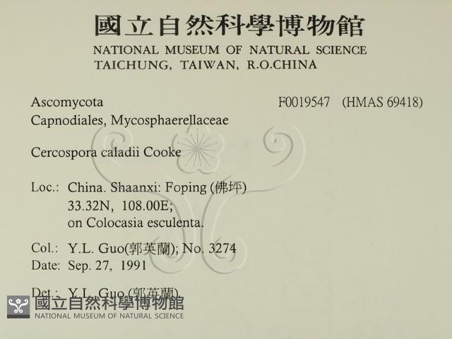 登錄號:F0019547藏品圖，第2張