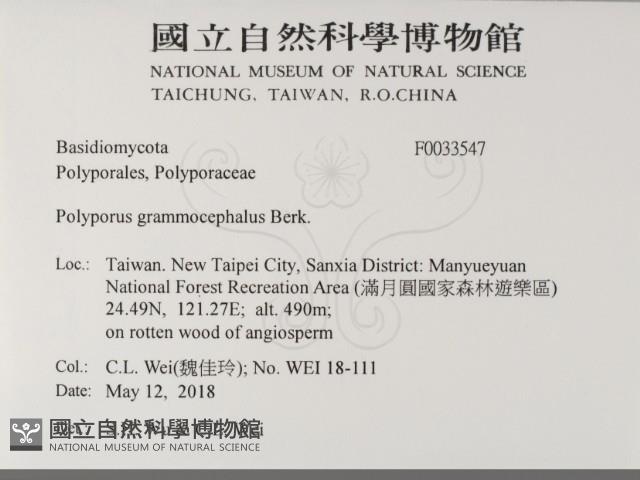 登錄號:F0033547藏品圖，第2張