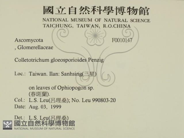 登錄號:F0010147藏品圖，第2張